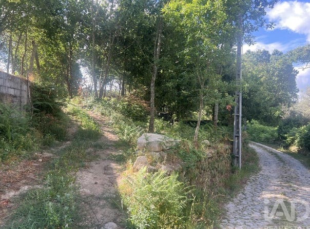 Viseu, Viseu District