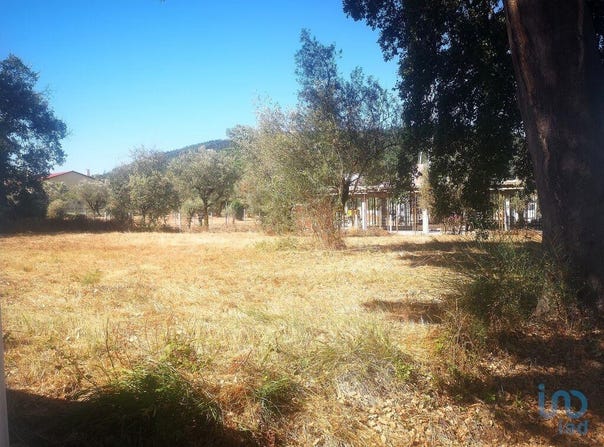 Leiria, Leiria District