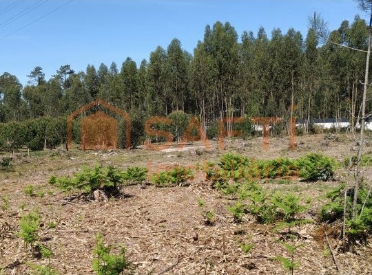Marinha Grande, Leiria District
