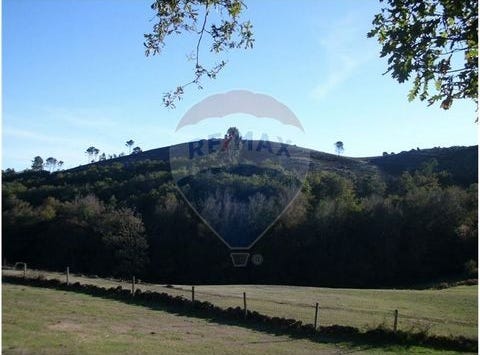 Fafe, Braga
