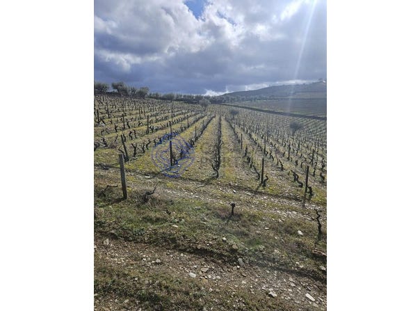 Candedo, Vila Real 5090