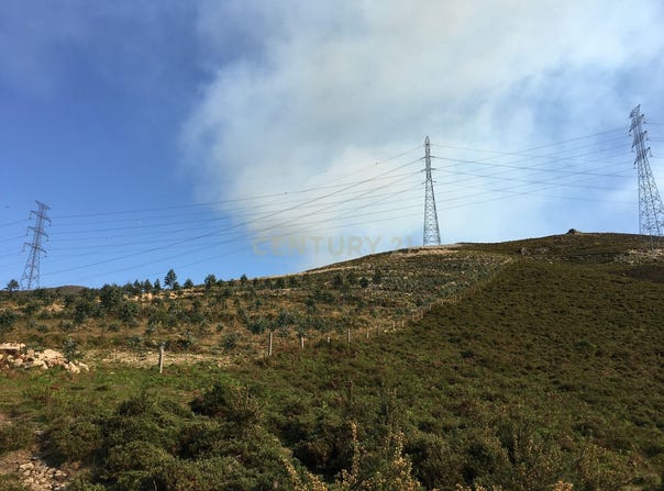 Salamonde, Braga