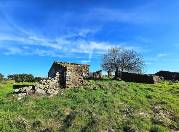 Ourique, Ourique, Beja District 7670