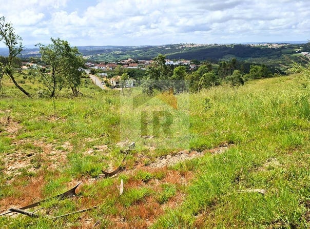 Caldas da Rainha, Leiria District