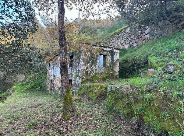 Cinfães, Viseu District