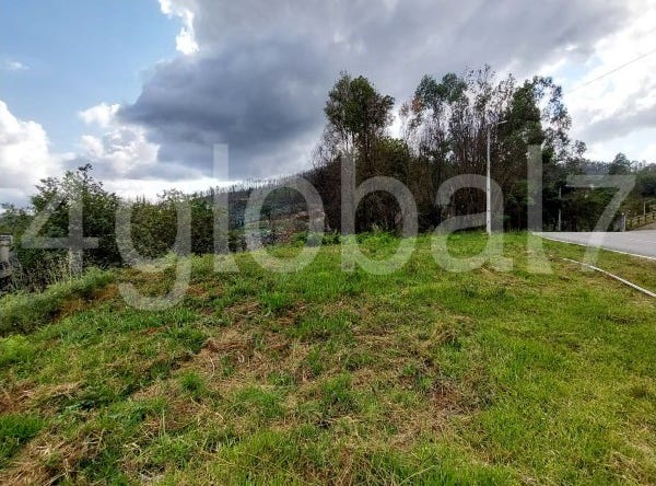 Sever do Vouga, Aveiro District