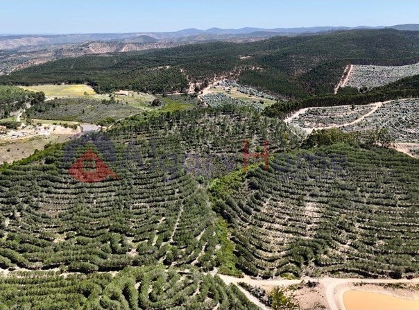Aljezur, Algarve 8670