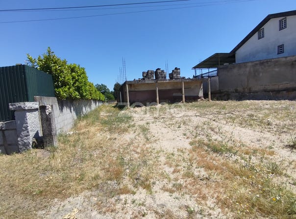 Mangualde, Viseu District