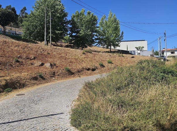 Várzea, Porto District