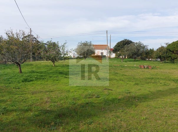 Caldas da Rainha, Leiria District