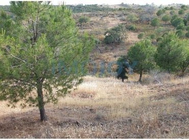 Castro Marim, Faro 8950-011