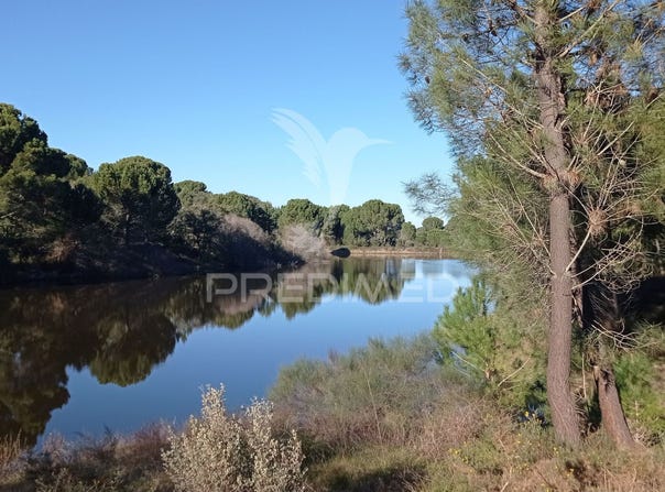 Mora, Mora, Évora District