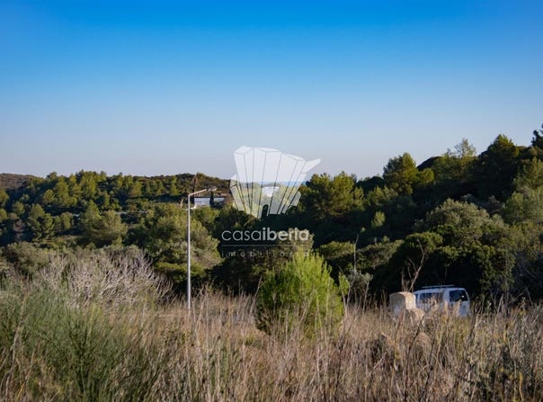 Budens, Algarve 8650
