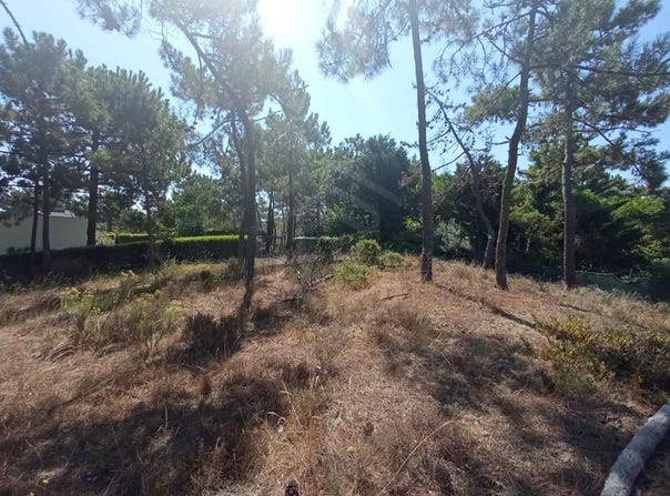 Carvalhal, Setúbal 7570-779