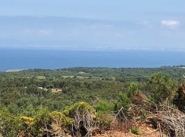 Sesimbra (Castelo), Setúbal 2970