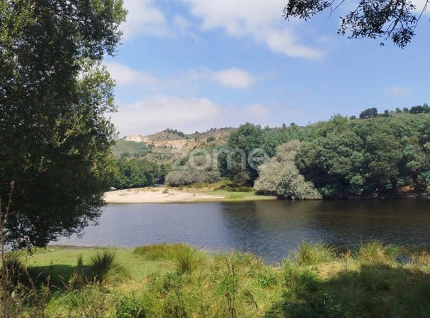 Mangualde, Viseu District