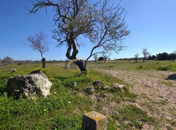 Guia, Algarve 8200