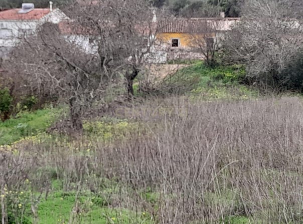 Silves, Algarve