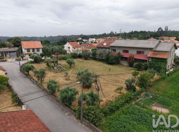 Viseu, Viseu District