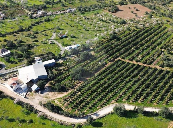 Faro, Algarve 8700