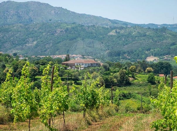 Faia, Braga Municipality 4860