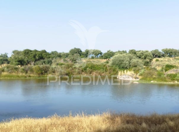 Alagoa, Portalegre, Portalegre District 7300