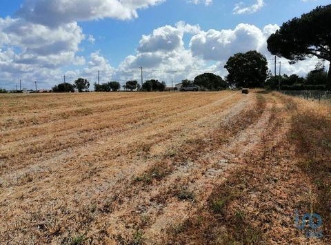 Montijo, Setúbal 2985-107