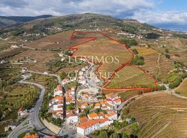 Mesão Frio ( Santo André), VILA REAL