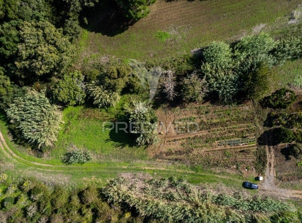 Santiago do Cacém, Santa Cruz e São Bartolomeu da Serra, Santiago do Cacém, Setubal 7540
