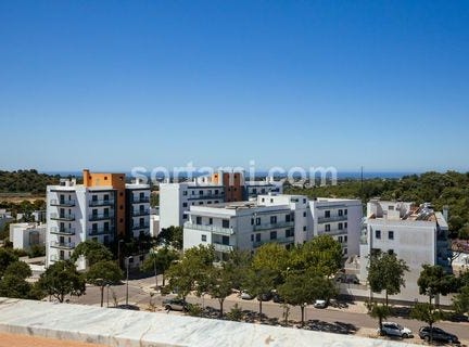 Loule, Faro