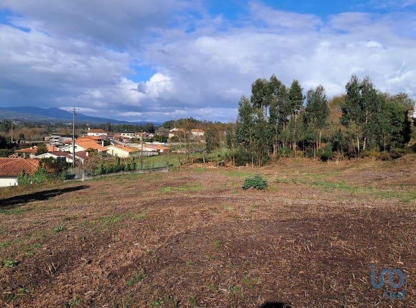 Viana do Castelo, Viana do Castelo District
