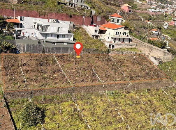 Ilha da Madeira, Madeira