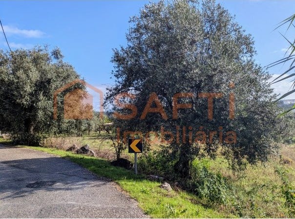 Pombal, Leiria District