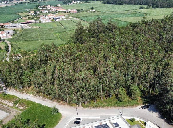 Covelas, Porto District