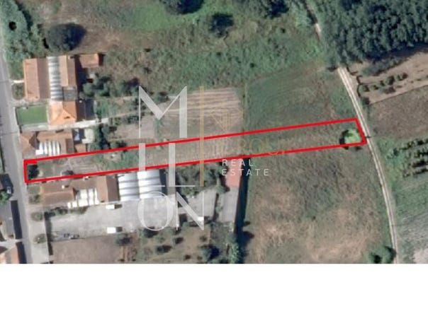 BUSTOS, Aveiro District