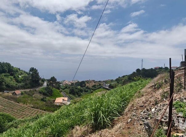 Ilha da Madeira, Madeira