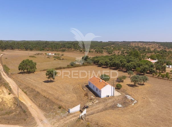 São Domingos e Vale de Água, Santiago do Cacém, Setubal 7555
