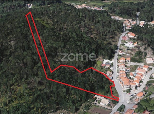 Oliveira de Azeméis, Aveiro District