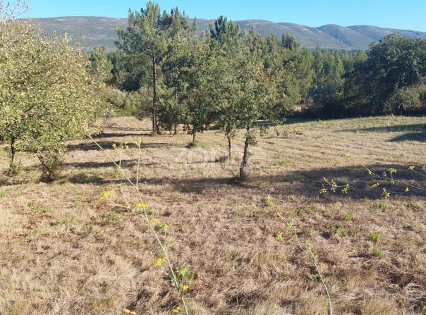 Porto de Mós, Leiria District