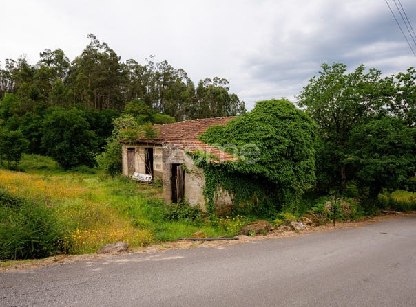 Fafe, Braga