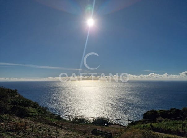 Canhas, Madeira 9360