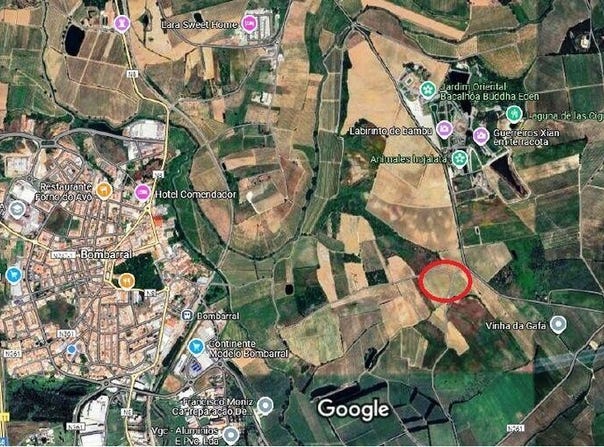 Leiria, Leiria District