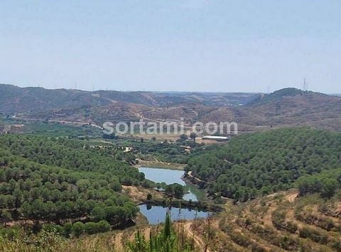 Silves, Faro