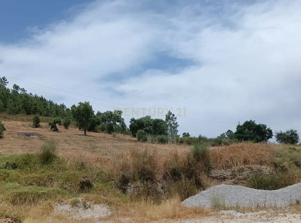 Salgueiro do Campo, Castelo Branco District