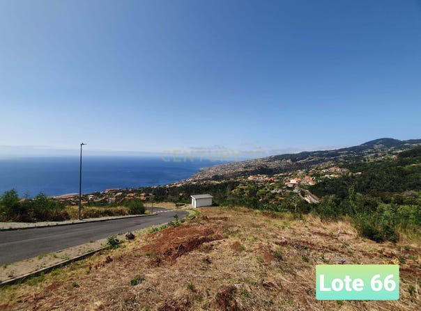 Ilha da Madeira, Madeira