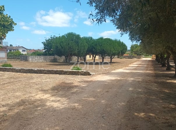 Cantanhede, Coimbra District