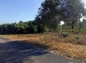 Coruche, Santarém 2100-516