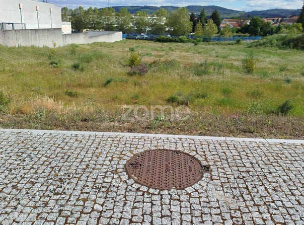 Moimenta da Beira, Viseu District