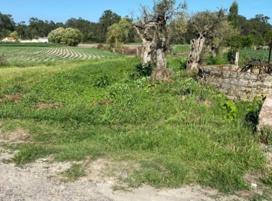 Bunheiro, Aveiro District