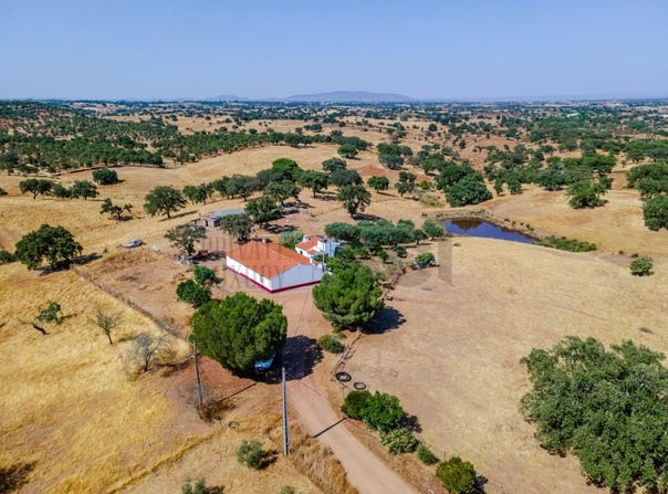 Aldeia Nova De São Bento, Beja 7830